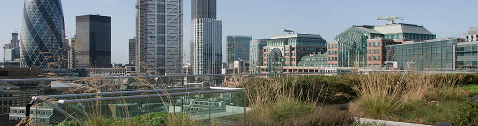 Image depicting the article 'Major construction research association selects oomi for digital transformation programme'
